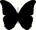 Butterfly (13) vinyl decal